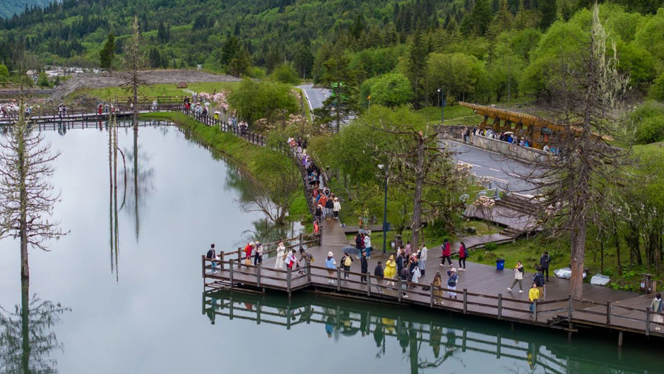 Loving Dragon Boat Festival Music in its "Zong" | Mt. Siguniang is looking forward to meeting you again!